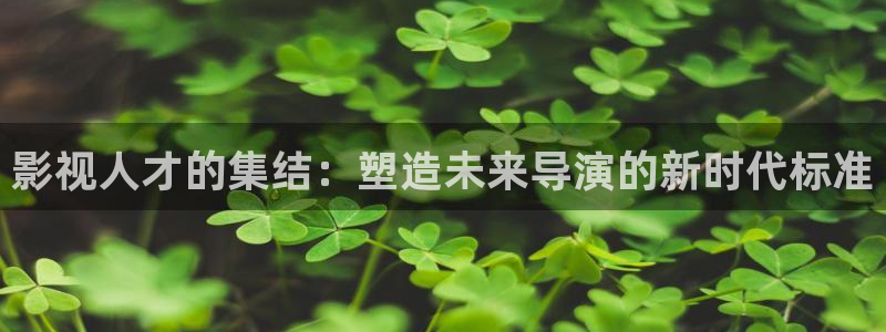 樱桃视频在线观看网站入口：影视人才的集结：塑造未来导演的新时代标准