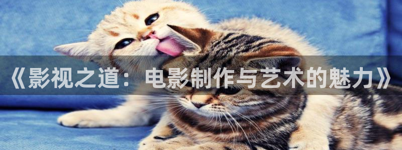 樱桃视频资源