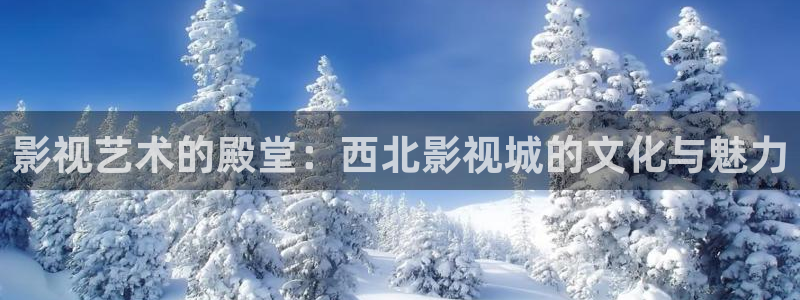 樱桃视频调色参数设置