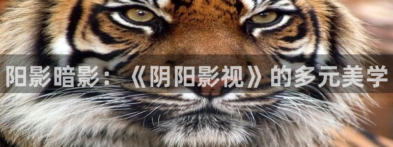 yt樱桃视频：阳影暗影：《阴阳影视》的多元美学