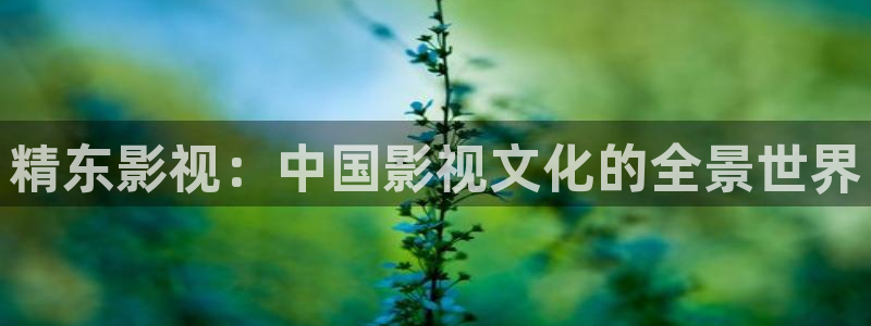 樱桃视频影院动漫在线观看
